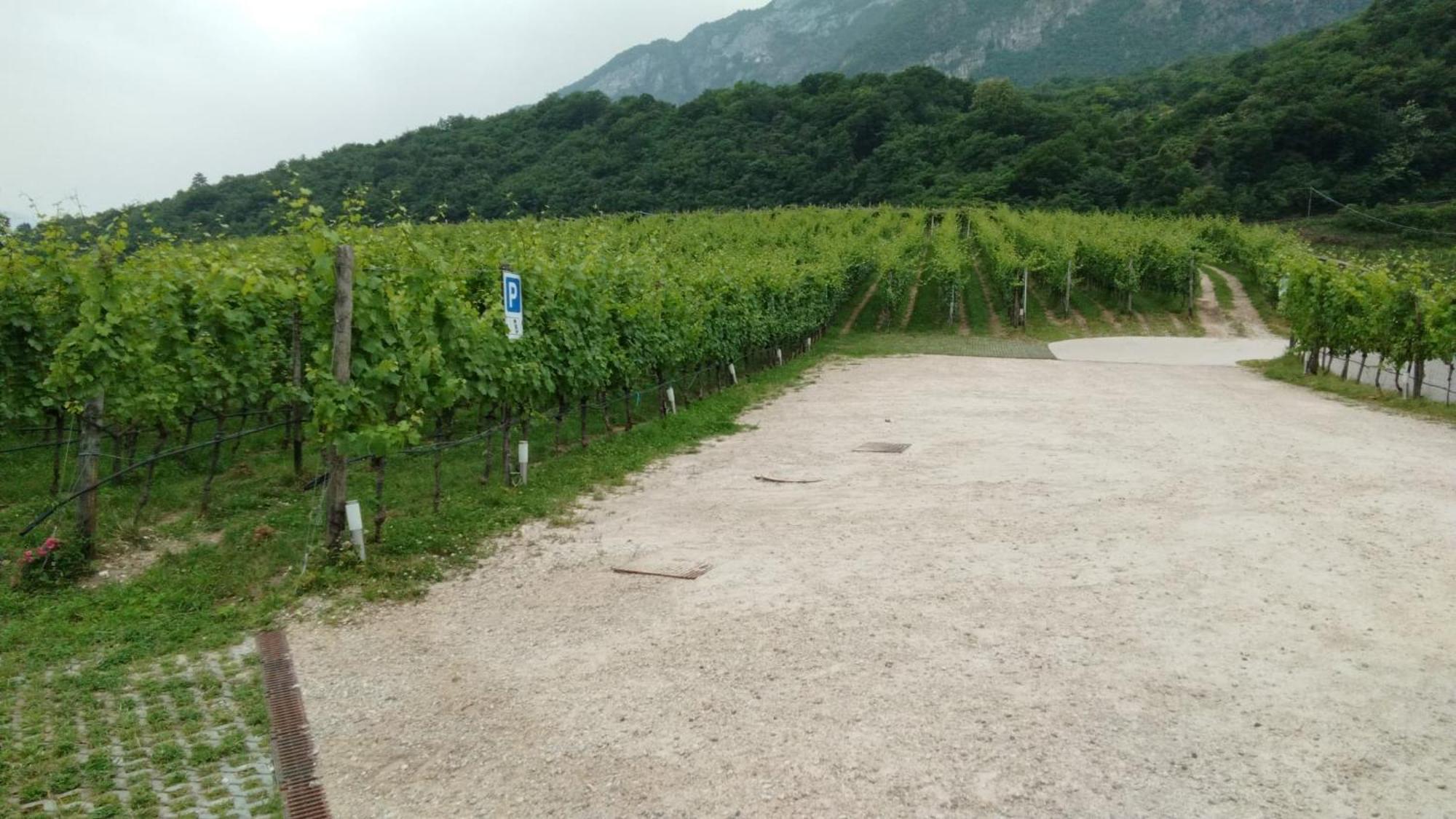 Agriturismo Margone Trento Exterior foto